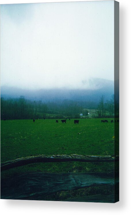 Pasture Acrylic Print featuring the photograph Appalachian Pasture by Cat Rondeau