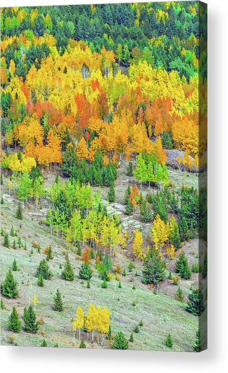 Fall Colors Acrylic Print featuring the photograph Ariana, The Greek Goddess Of Colors And Emotions by Bijan Pirnia