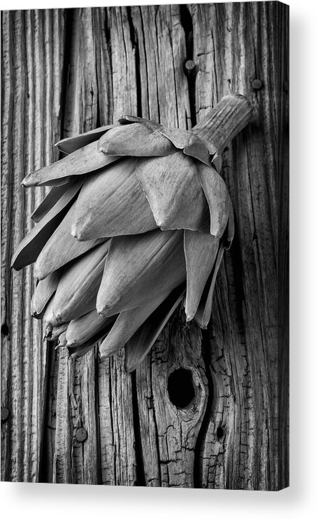 Artichoke Acrylic Print featuring the photograph Artichoke In Black And White by Garry Gay