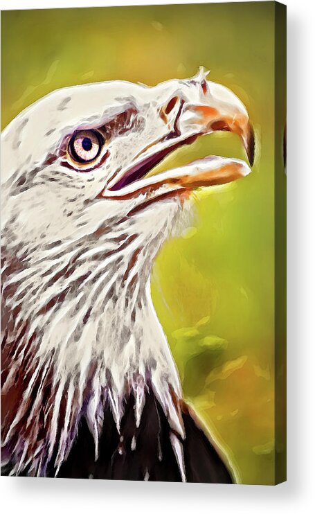 Eagle Acrylic Print featuring the photograph Artistic Akron Eagle by Don Johnson