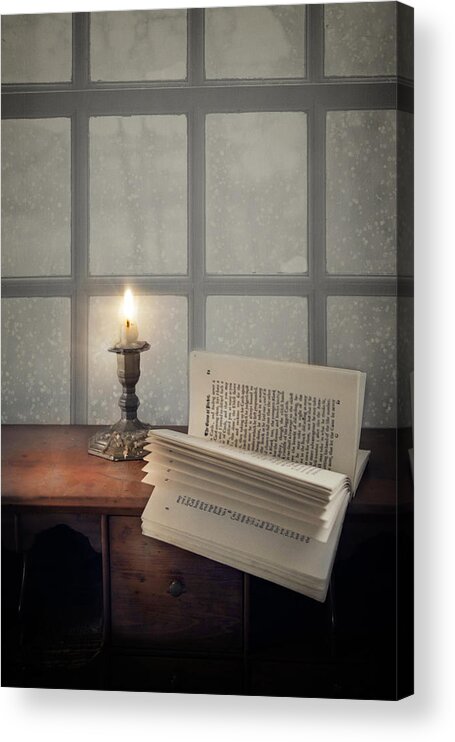 Winter Acrylic Print featuring the photograph As The Snow Flies by Robin-Lee Vieira