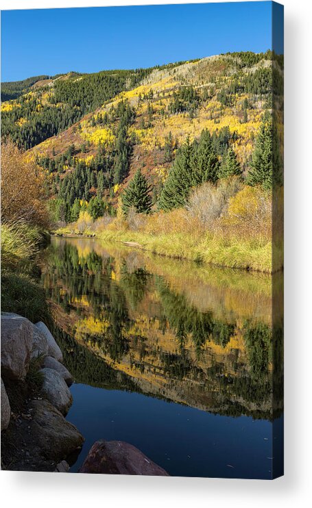 Aspen Reflections Acrylic Print featuring the photograph Aspen Reflections by Jemmy Archer