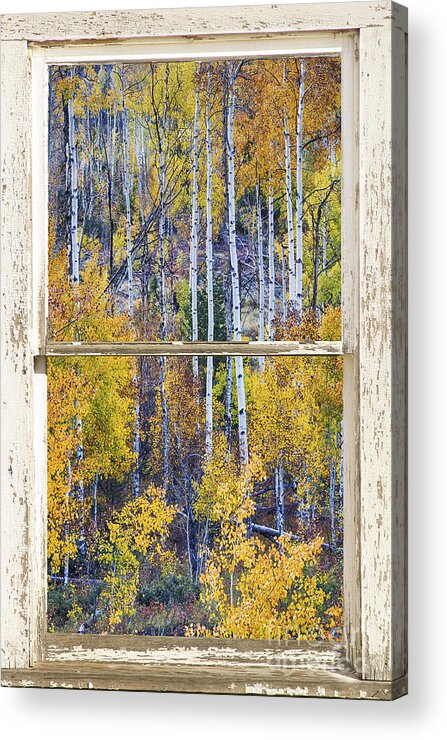 Window Acrylic Print featuring the photograph Aspen Tree Magic Cottonwood Pass White farm House Window Art by James BO Insogna