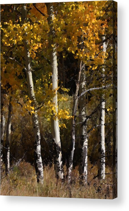 Fall Acrylic Print featuring the photograph Aspens Palate Knife by Judy Deist