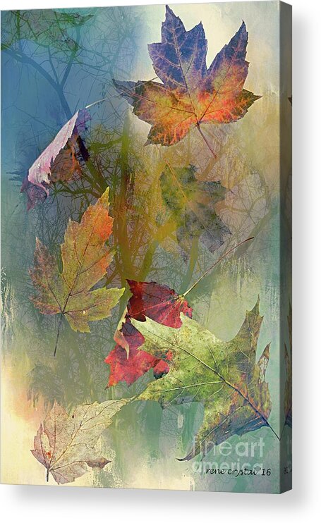 Autumn Acrylic Print featuring the photograph Autumn exposure by Rene Crystal