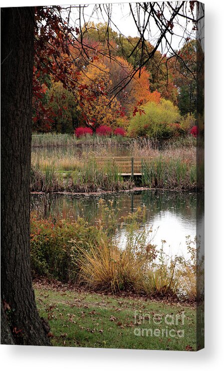 Autumn Acrylic Print featuring the photograph Autumn Pond in Maryland by William Kuta
