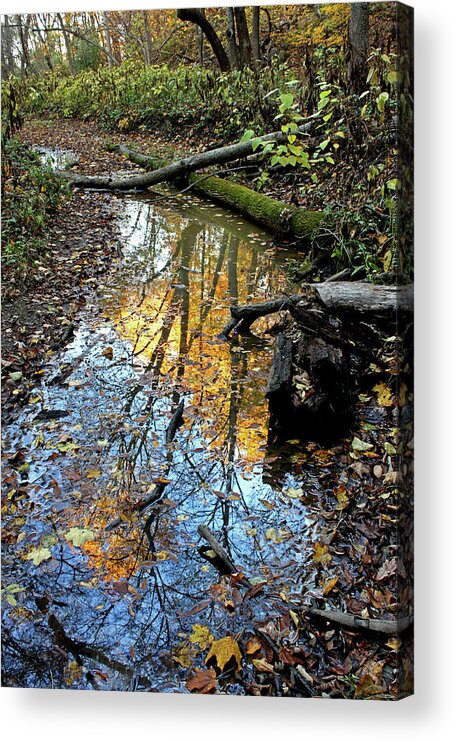 Autumn Acrylic Print featuring the photograph Autumn Reflections by Ira Marcus