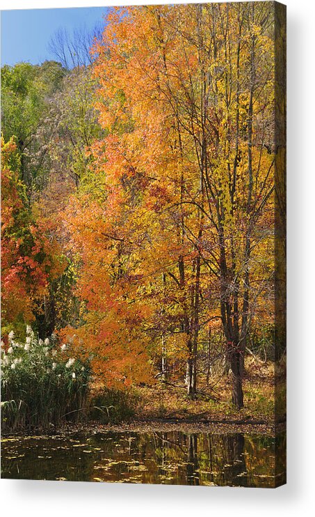 Fall Acrylic Print featuring the photograph Autumn Tranquility 4 by Frank Mari