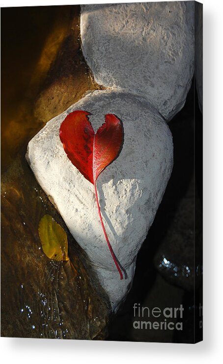 Heart Acrylic Print featuring the photograph Autumn's Love and Serenity by Debra Thompson