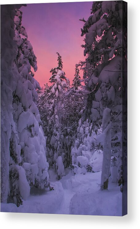 Avalon Acrylic Print featuring the photograph Avalon Sunset by White Mountain Images