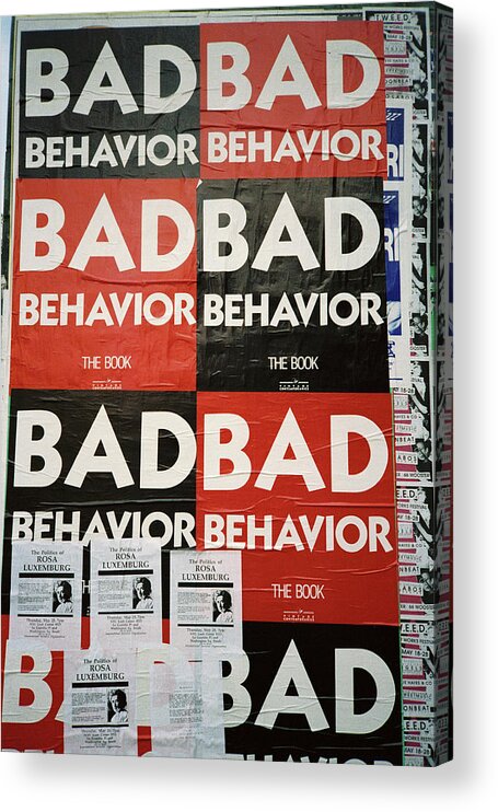 Bad Behavior Acrylic Print featuring the photograph Bad Behavior by Frank DiMarco