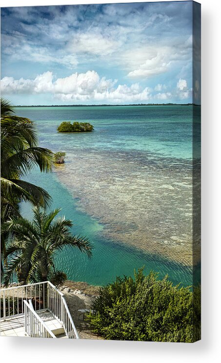 Landscape Acrylic Print featuring the photograph Balcony View by Kathi Mirto