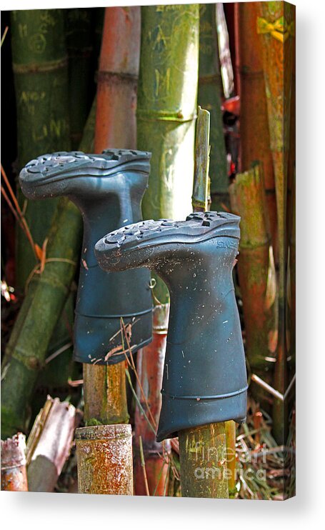  Blac Boots Acrylic Print featuring the photograph Bamboo Boots by Jennifer Robin