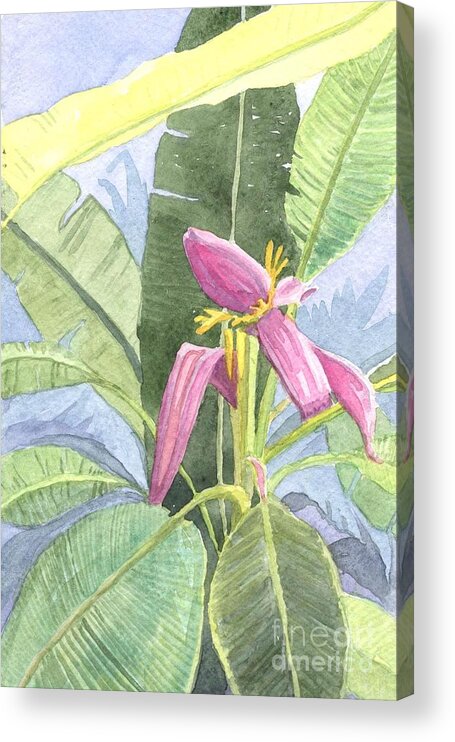 Banana Acrylic Print featuring the painting Banana Plant by Anne Marie Brown