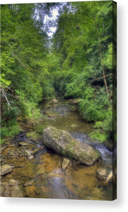 Water Acrylic Print featuring the photograph Bark Camp Creek 12 by Sam Davis Johnson