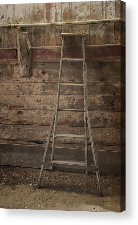 Scott Farm Vermont Acrylic Print featuring the photograph Barn Ladder by Tom Singleton