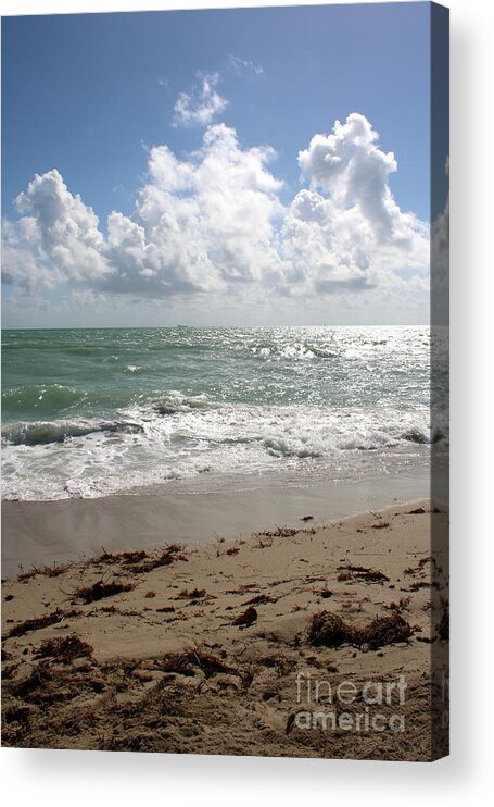 Beach Acrylic Print featuring the photograph Beach Scene Vertical by Carol Groenen