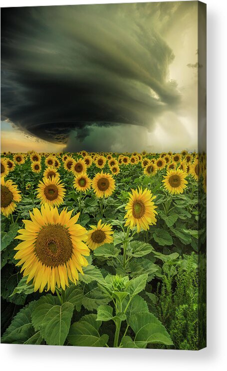 Supercell Acrylic Print featuring the photograph Beautiful Destruction by Aaron J Groen