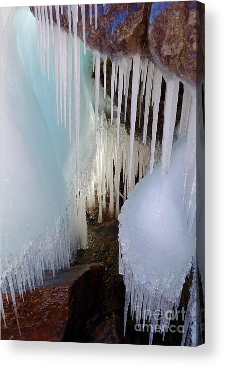 Ice Acrylic Print featuring the photograph Beauty in the Ice by Sandra Updyke