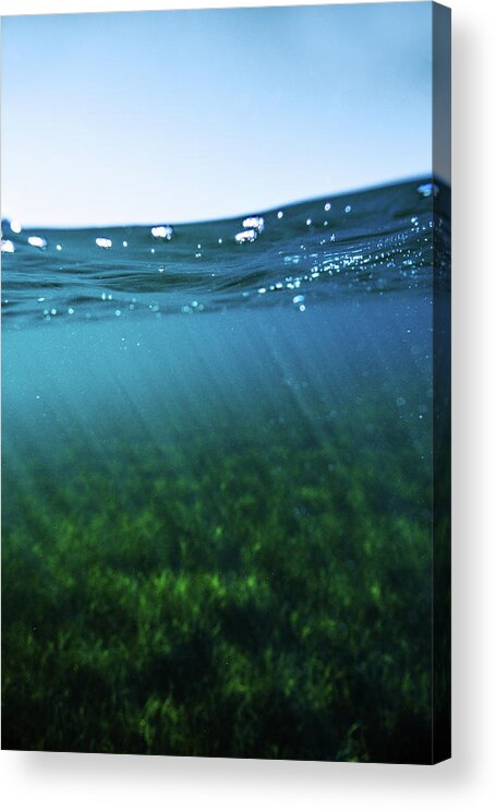 Underwater Acrylic Print featuring the photograph Beauty Under the Water by Gemma Silvestre
