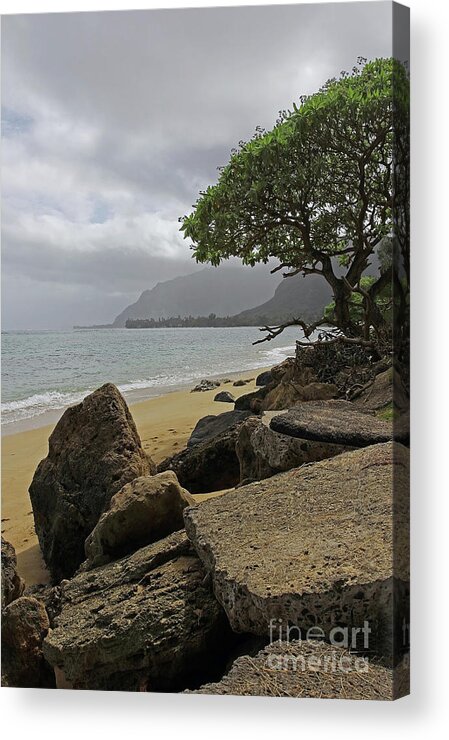 Before The Rain Acrylic Print featuring the photograph Before the Rain by Jennifer Robin