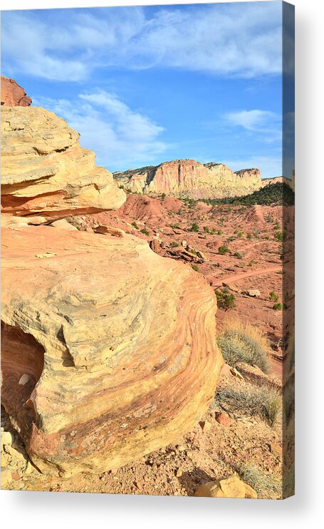 Capitol Reef National Park Acrylic Print featuring the photograph Bend in the Road by Ray Mathis