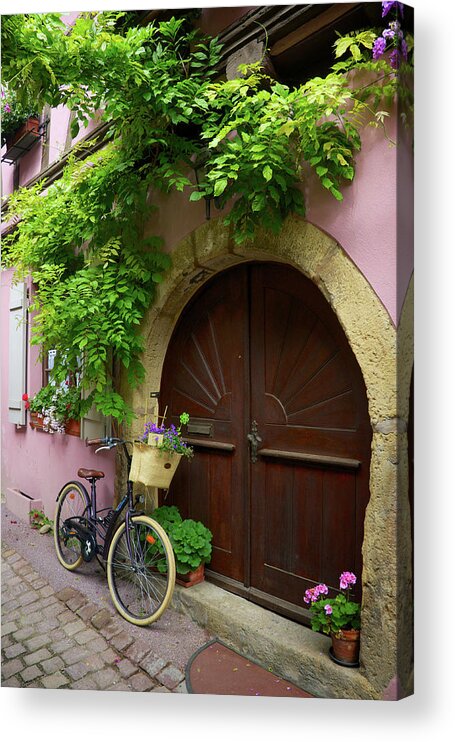 Bicycle Acrylic Print featuring the photograph Bicycle and Ivy by Rebekah Zivicki