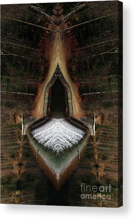 Abstract Acrylic Print featuring the photograph Bizarre forest ship by Michal Boubin