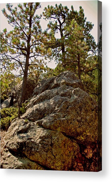 Mount Rushmore Acrylic Print featuring the photograph Black Hills Boulders by Mike Oistad