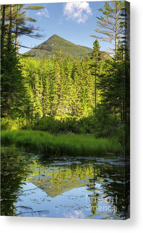 Backcountry Acrylic Print featuring the photograph Black Pond - Owl's Head, New Hampshire by Erin Paul Donovan