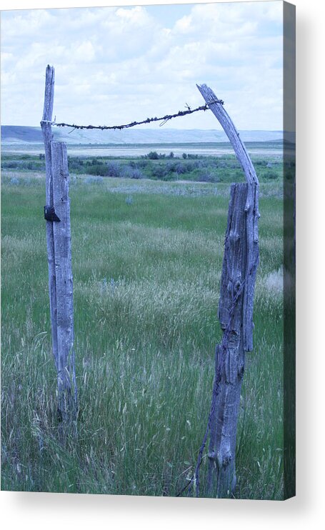 Rural Acrylic Print featuring the photograph Blue BarbWire by Mary Mikawoz