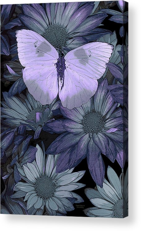 Butterfly Acrylic Print featuring the painting Blue Butterfly by JQ Licensing