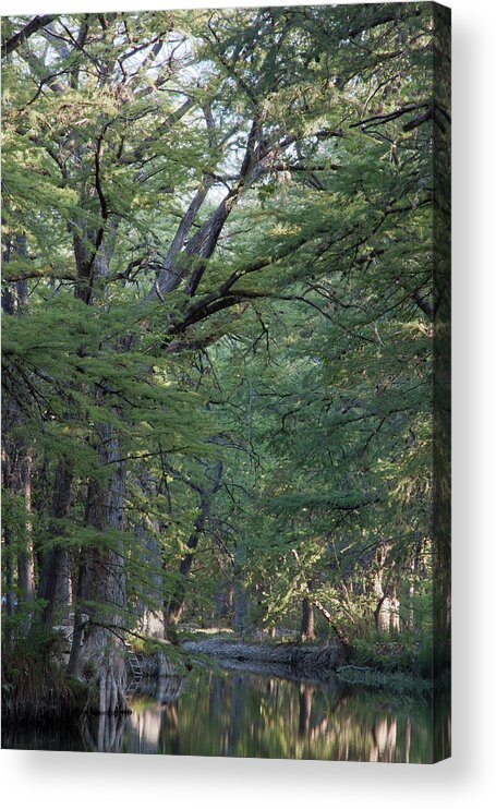 Wimberley Acrylic Print featuring the photograph Blue Hole Morning by James Woody