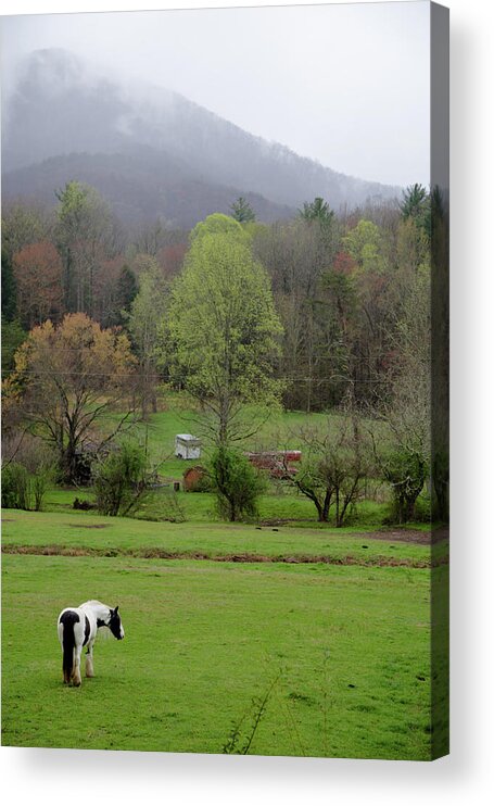 Blue Ridge Acrylic Print featuring the photograph Blue Ridge by Lindsey Weimer