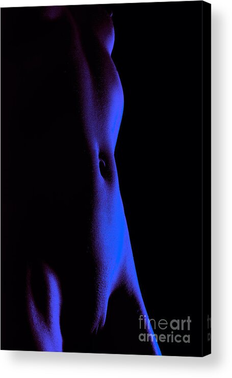 Artistic Photographs Acrylic Print featuring the photograph Blue violet satin by Robert WK Clark