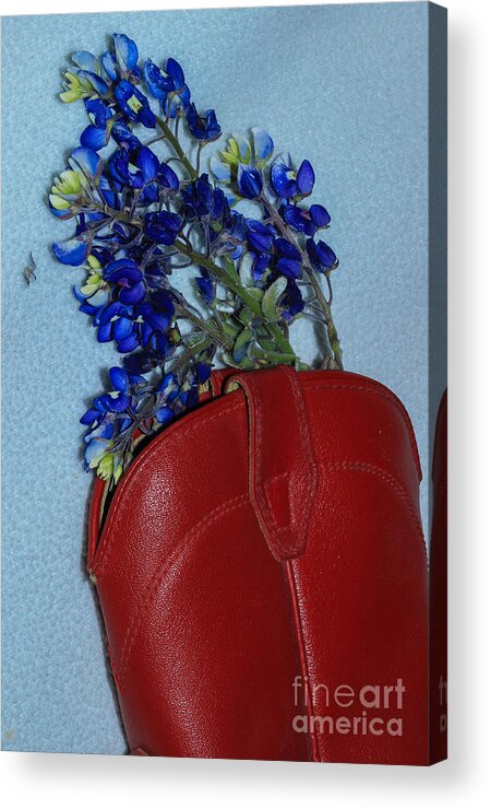 Bluebonnet Acrylic Print featuring the photograph Bluebonnet Boot by Toma Caul