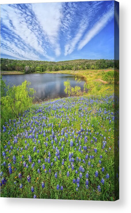Llano County Acrylic Print featuring the photograph Bluebonnet Lake Skies by Sylvia J Zarco
