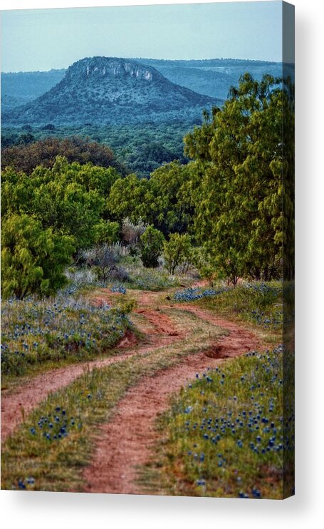 Bluebonnets Acrylic Print featuring the photograph Bluebonnet Road by Linda Unger