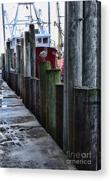 Paul Ward Acrylic Print featuring the photograph Boat Docks by Paul Ward