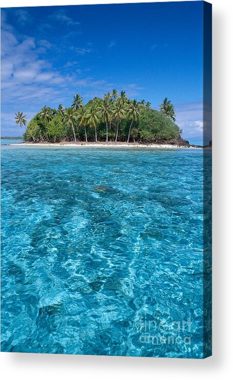 Aqua Acrylic Print featuring the photograph Bora Bora, Motu by Joe Carini - Printscapes