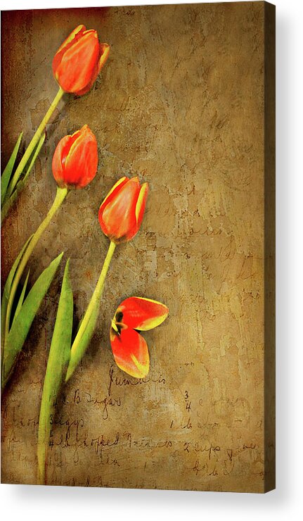 Tulips Acrylic Print featuring the photograph Securing Borders by Diana Angstadt