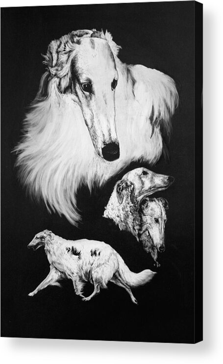 Borzoi Acrylic Print featuring the drawing Borzoi by Rachel Bochnia