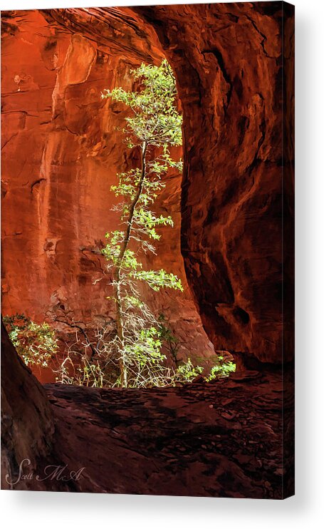 Arizona Acrylic Print featuring the photograph Boynton Canyon 07-034 by Scott McAllister