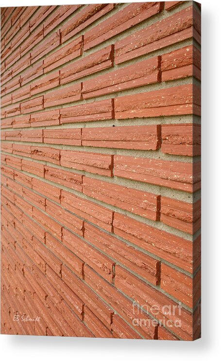 Brick Acrylic Print featuring the photograph Brick Wall 1 by E B Schmidt