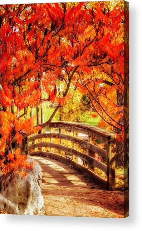 Colorado Acrylic Print featuring the photograph Bridge of Fall by Kristal Kraft