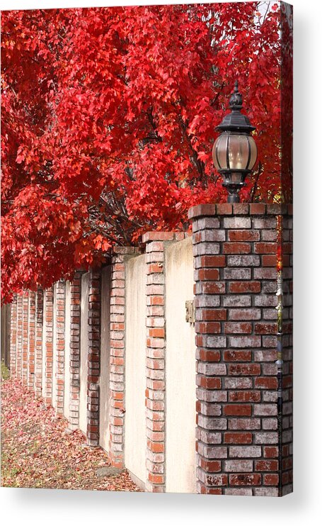 Fall Acrylic Print featuring the photograph Brilliant Fall by Jeff Floyd CA