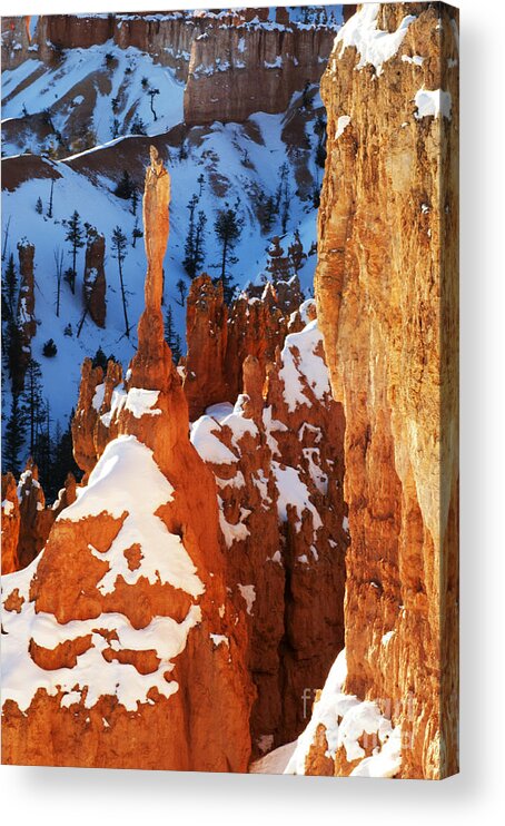 Bryce Acrylic Print featuring the photograph Bryce Canyon Winter 4 by Bob Christopher
