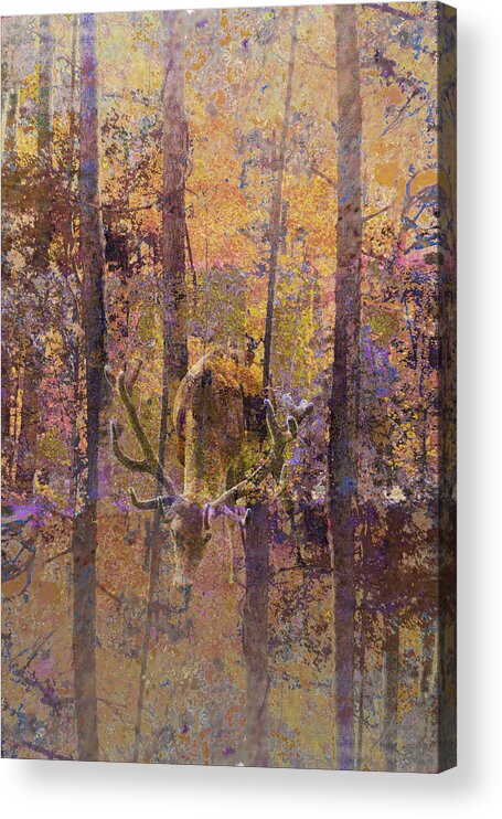 Buck Deer Acrylic Print featuring the photograph Buck Deer In Camouflage by Suzanne Powers