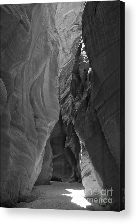 Slot Canyon Acrylic Print featuring the photograph Buckskin In Black And White by Adam Jewell