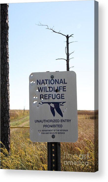 Blackwater Acrylic Print featuring the photograph Bullet holes in sign at Blackwater Wildlife Refuge in Maryland by William Kuta